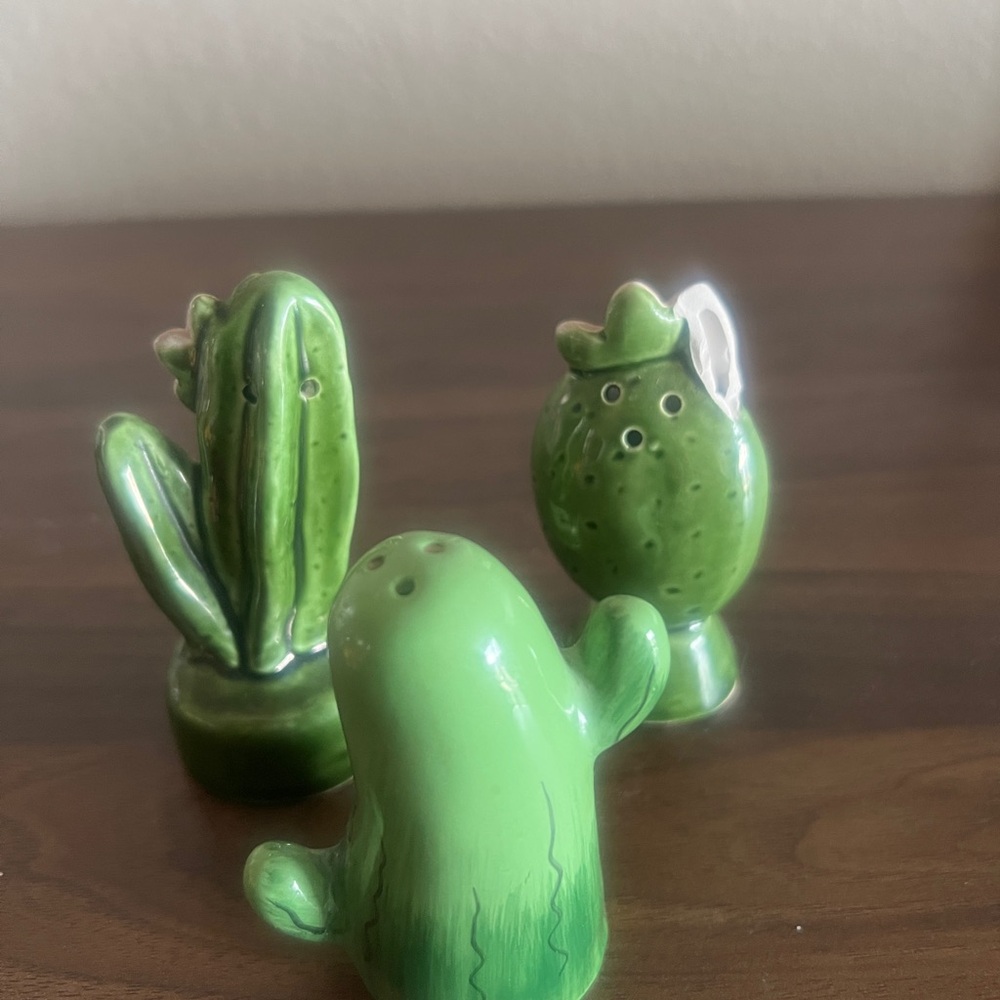 Cactus-Themed Green Ceramic Salt and Pepper Shakers